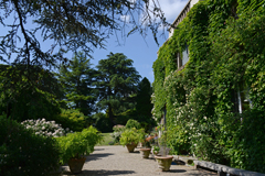 Cliquez sur la vignette pour l'agrandir